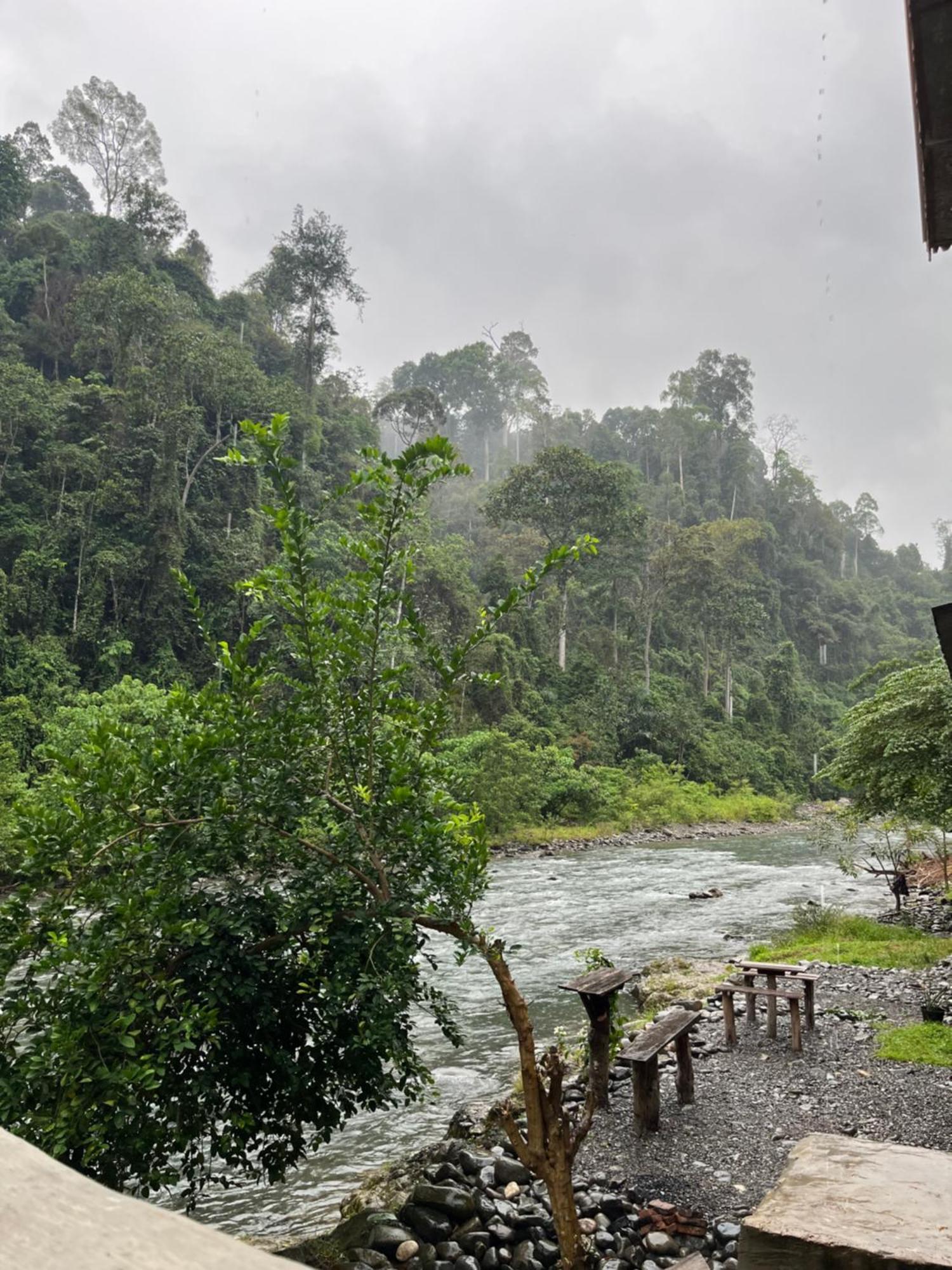 Ridho'S Homestay & Jungle Trekking Bukit Lawang Buitenkant foto